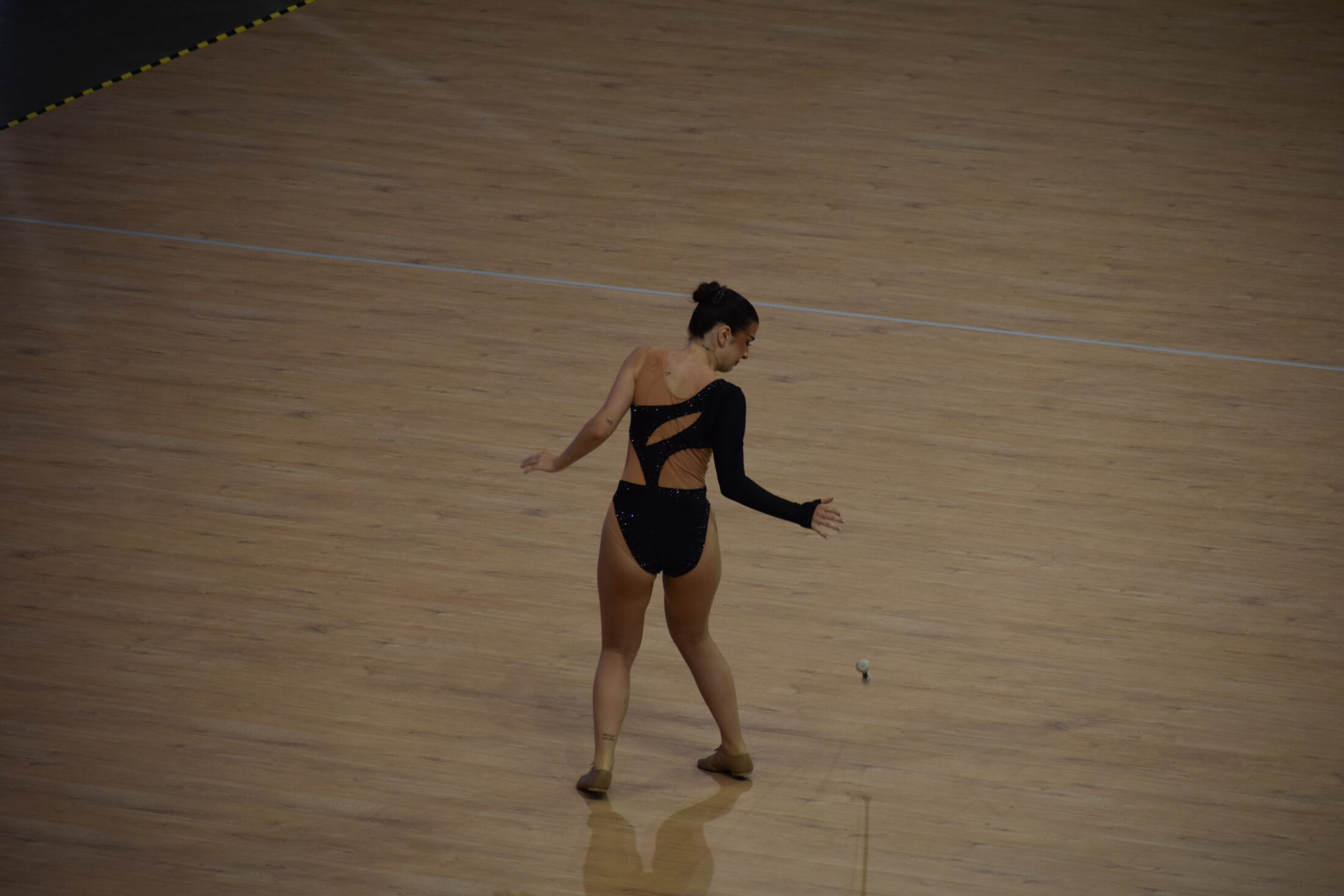 DSC 0252